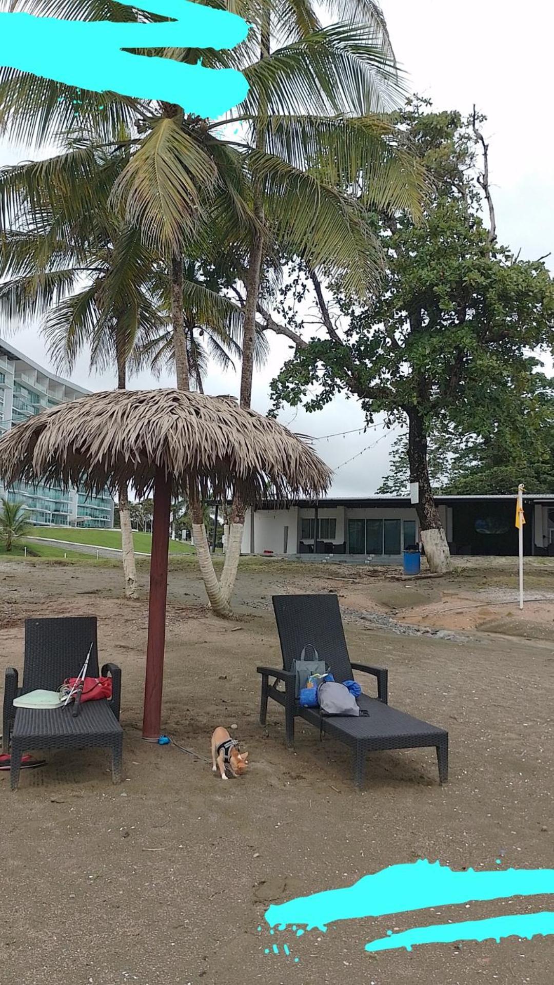 Apartamento En Balabeach Maria Chiquita In Front Of The Beach 2Hab Colon Ruang foto