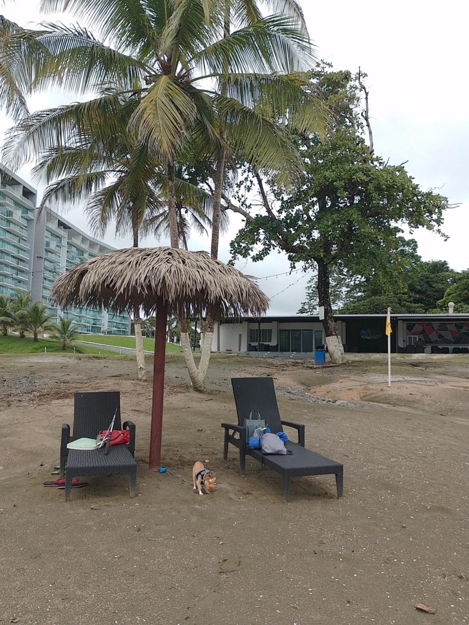 Apartamento En Balabeach Maria Chiquita In Front Of The Beach 2Hab Colon Ruang foto