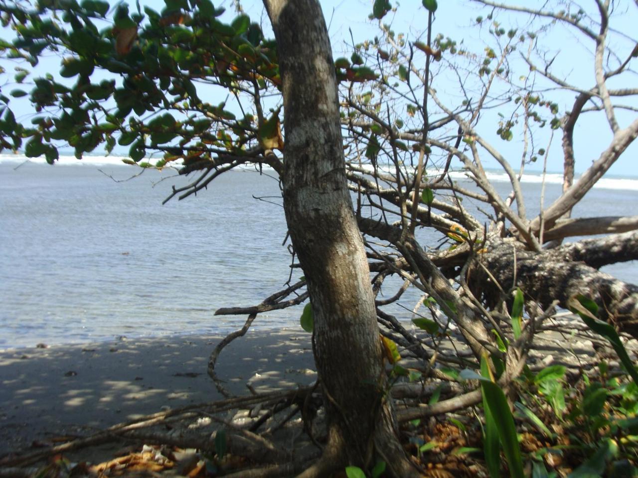 Apartamento En Balabeach Maria Chiquita In Front Of The Beach 2Hab Colon Bagian luar foto