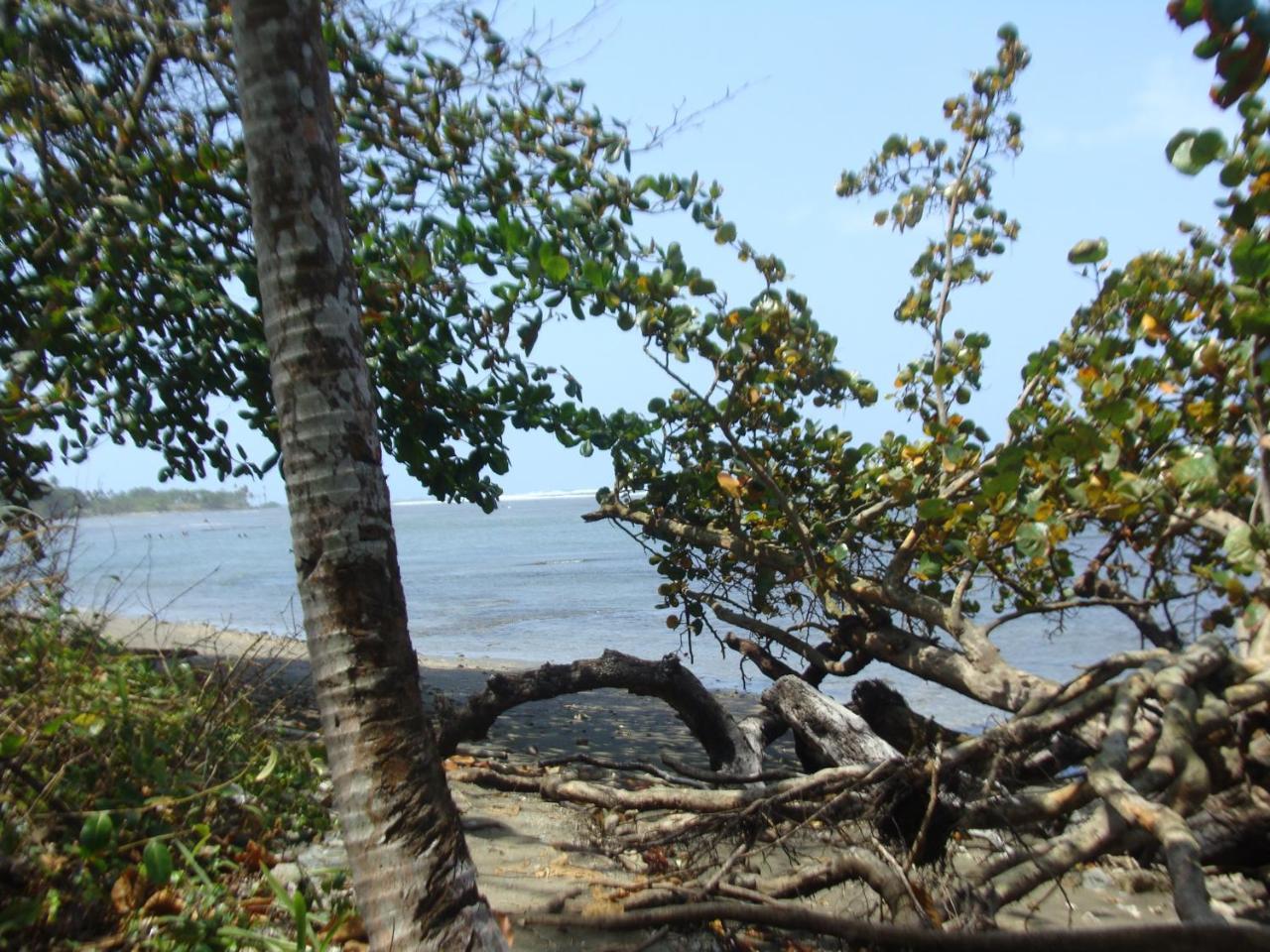 Apartamento En Balabeach Maria Chiquita In Front Of The Beach 2Hab Colon Bagian luar foto