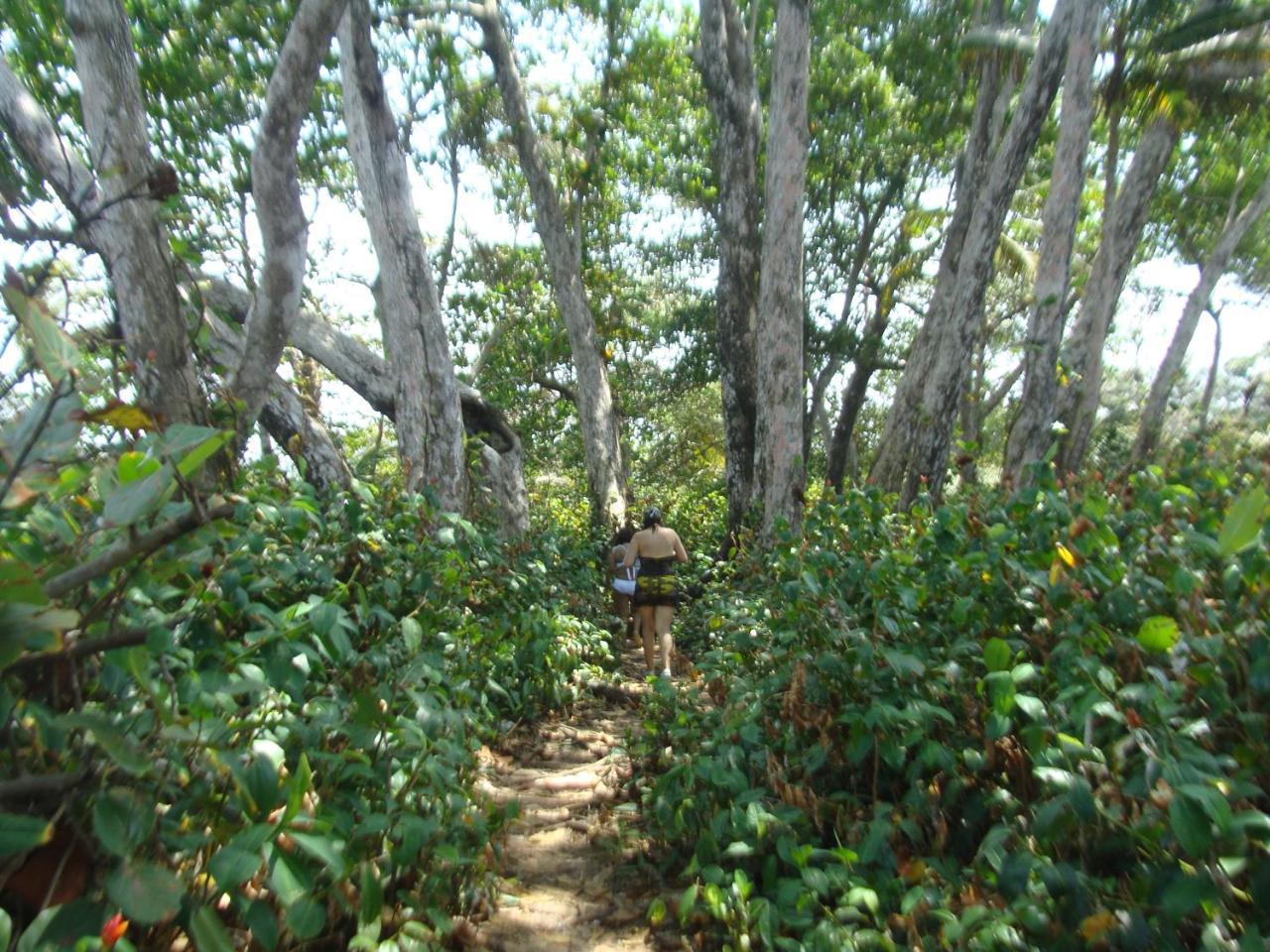 Apartamento En Balabeach Maria Chiquita In Front Of The Beach 2Hab Colon Bagian luar foto