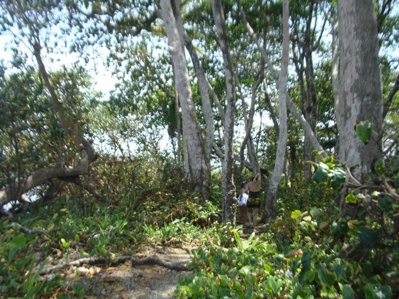 Apartamento En Balabeach Maria Chiquita In Front Of The Beach 2Hab Colon Bagian luar foto